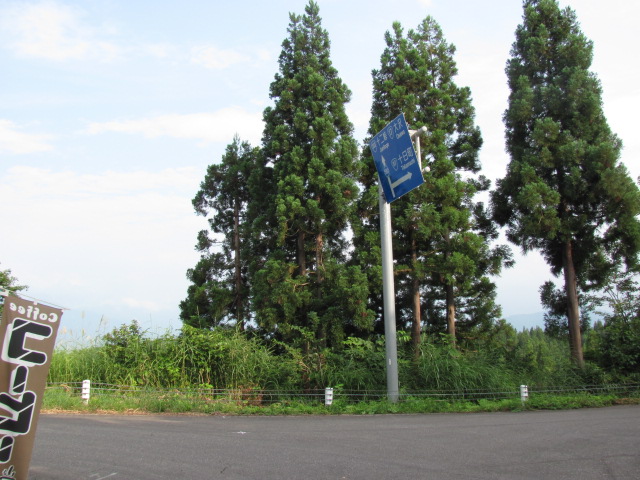 f0279343_1215324.jpg