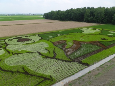 e0173645_10501653.jpg