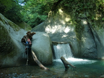 b0077448_12214100.jpg
