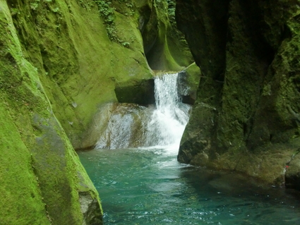 b0077448_12404586.jpg