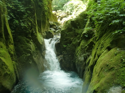b0077448_12435365.jpg