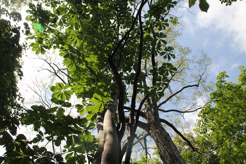 b0250154_21263144.jpg