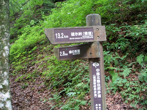 d0107660_15462235.jpg