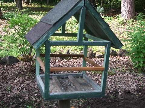 e0088260_8493622.jpg