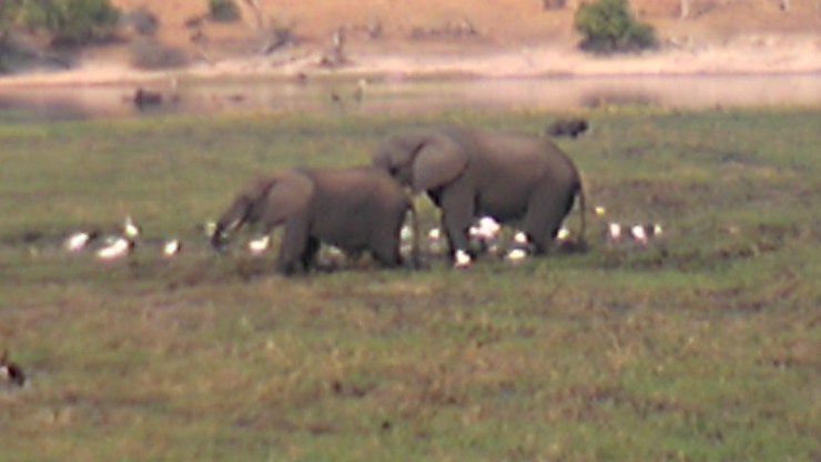 b0061261_20544015.png