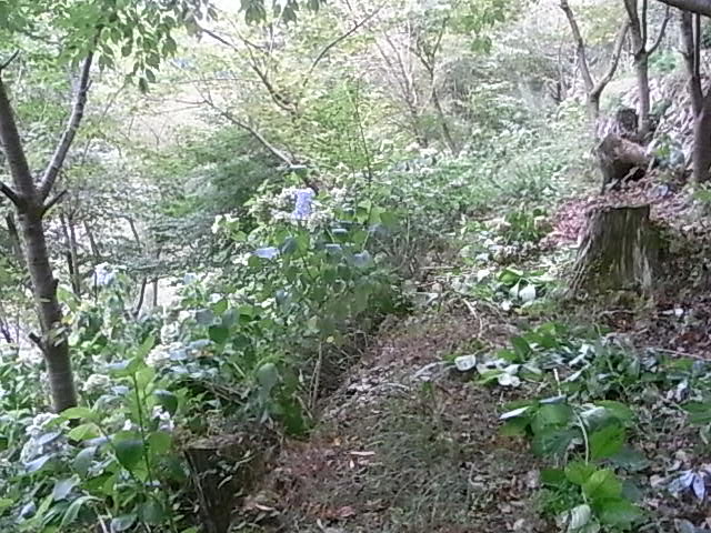 a0146070_6495172.jpg