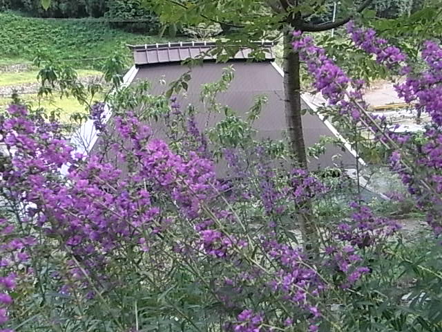 a0146070_6525417.jpg