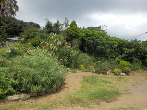 e0292172_2034318.jpg
