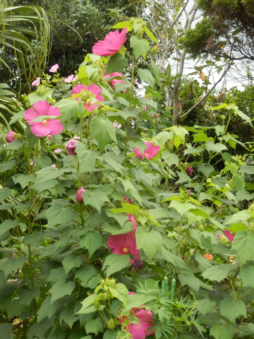 e0292172_20383633.jpg