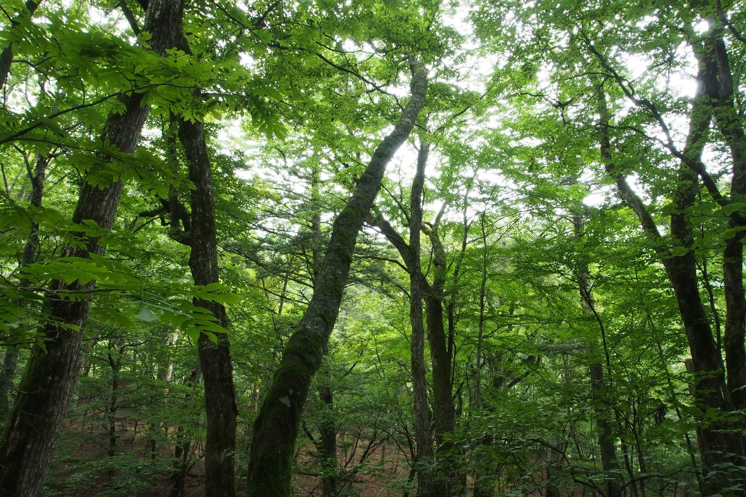 e0307372_2142129.jpg