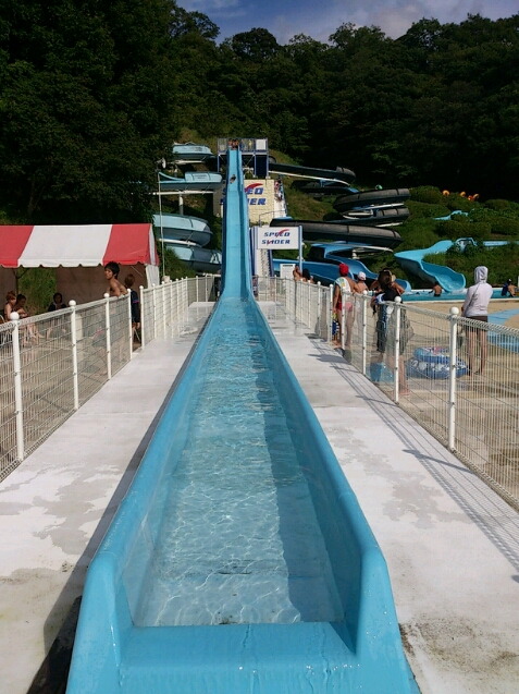 d0095673_14532455.jpg