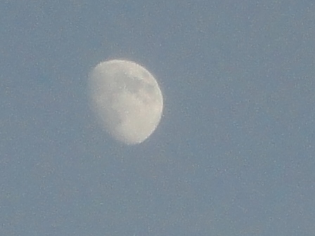 d0109373_232154.jpg