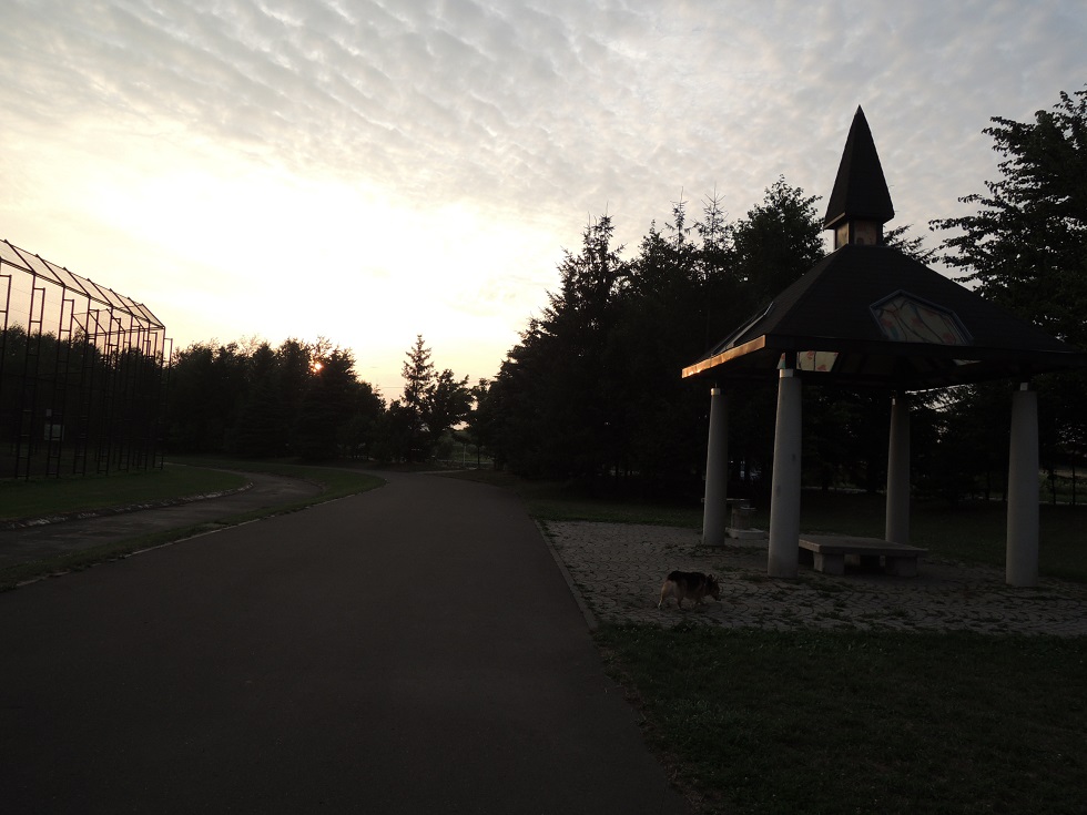 c0160878_21351056.jpg
