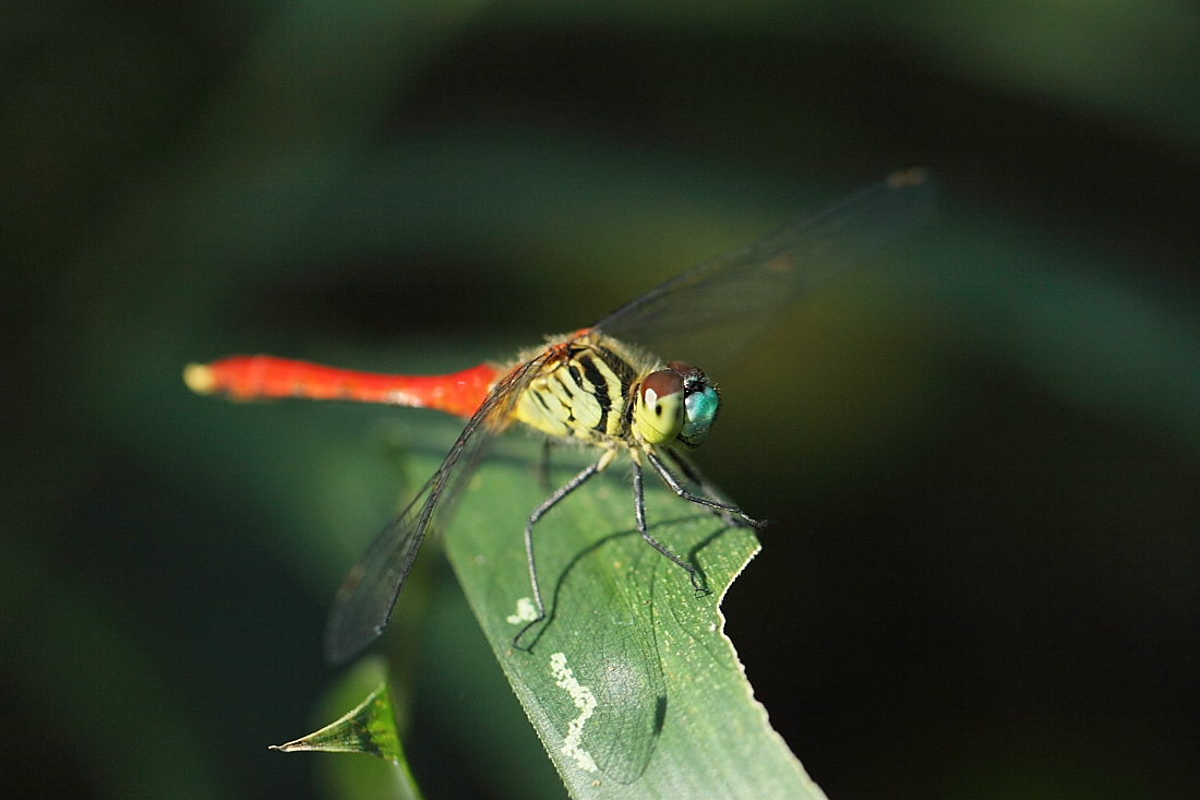 e0249878_2259512.jpg