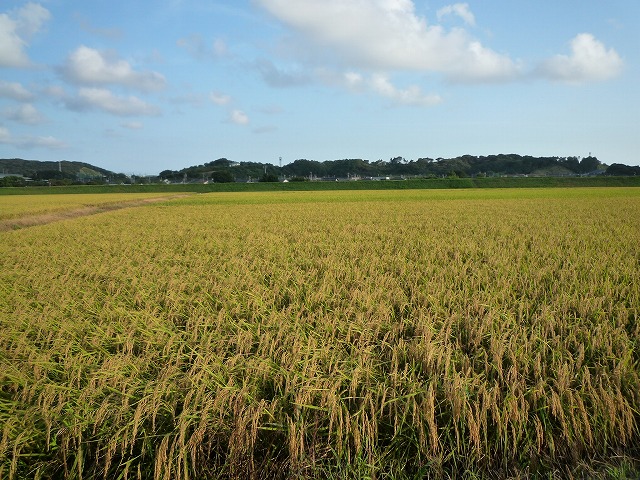 b0238886_22124822.jpg
