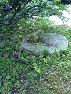e0268291_0115686.jpg