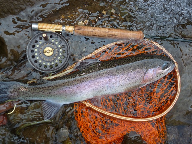 e0202393_23111338.jpg