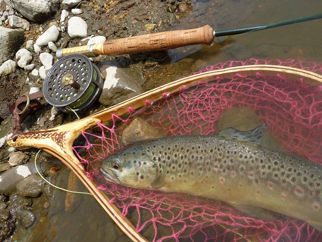 e0202393_237710.jpg