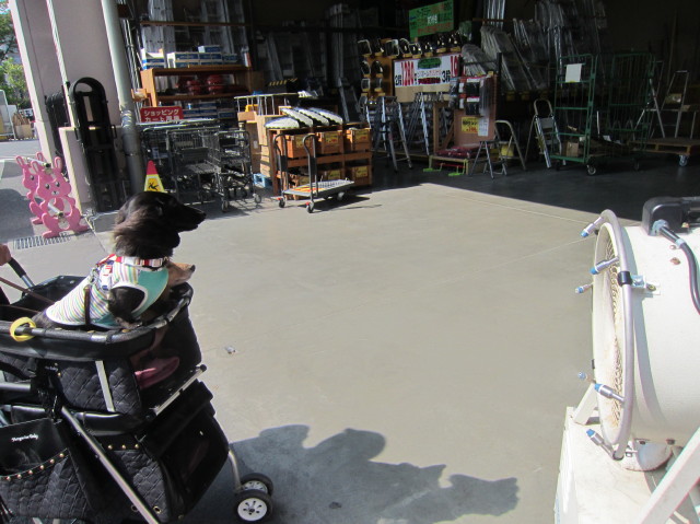 d0098295_2355025.jpg