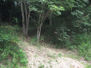 d0240201_11254435.jpg