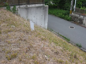 d0240201_142445.jpg