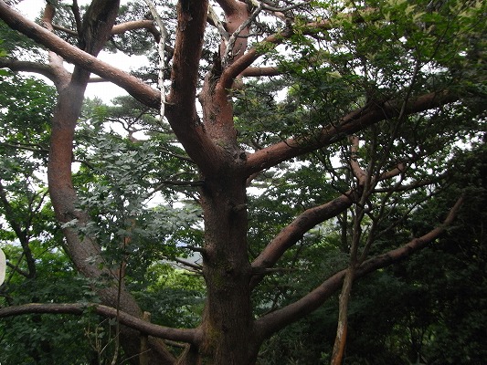 f0187402_2104461.jpg