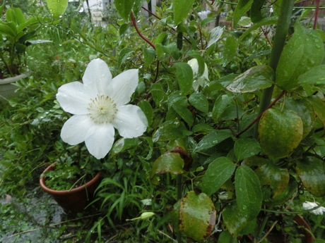 a0203003_19364057.jpg