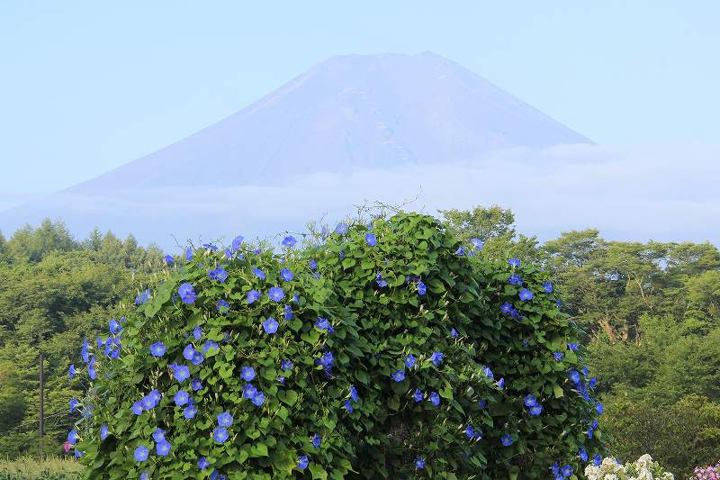 a0188405_10533936.jpg