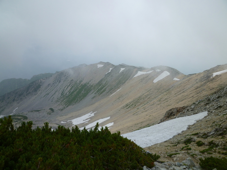 d0170615_1145349.jpg