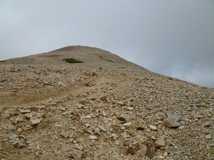 d0170615_116165.jpg