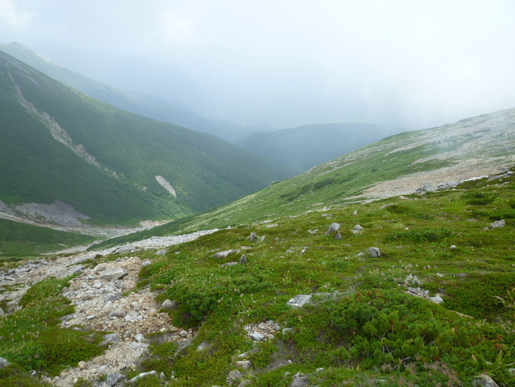 d0170615_1162127.jpg