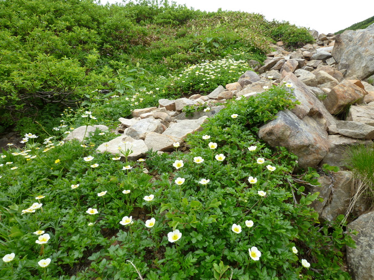 d0170615_1165865.jpg