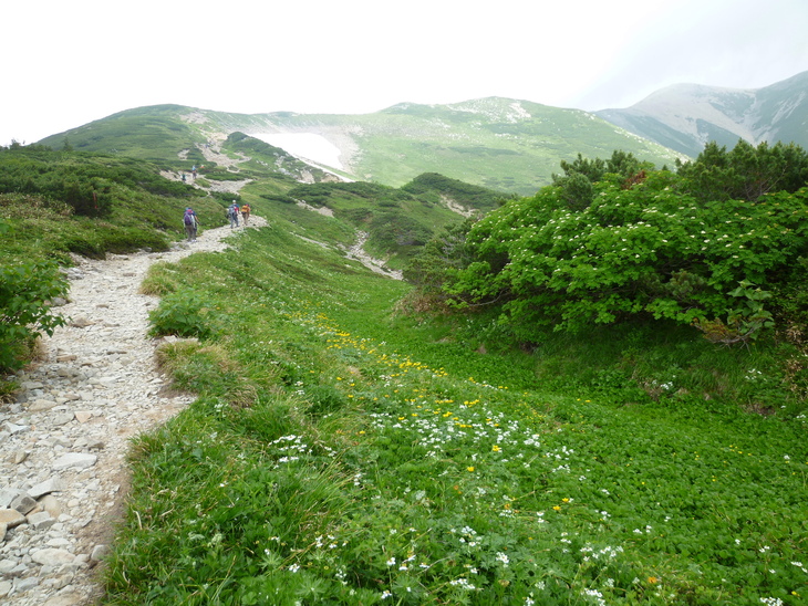 d0170615_1171876.jpg