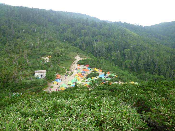 d0170615_1175659.jpg