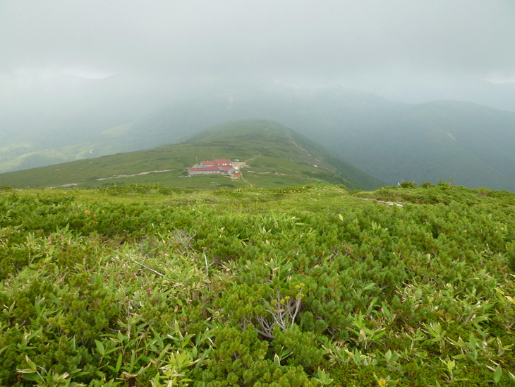 d0170615_1182887.jpg
