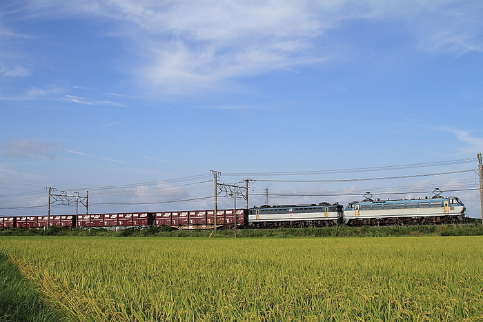 f0211615_19125723.jpg
