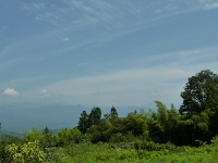 d0006323_2111934.jpg