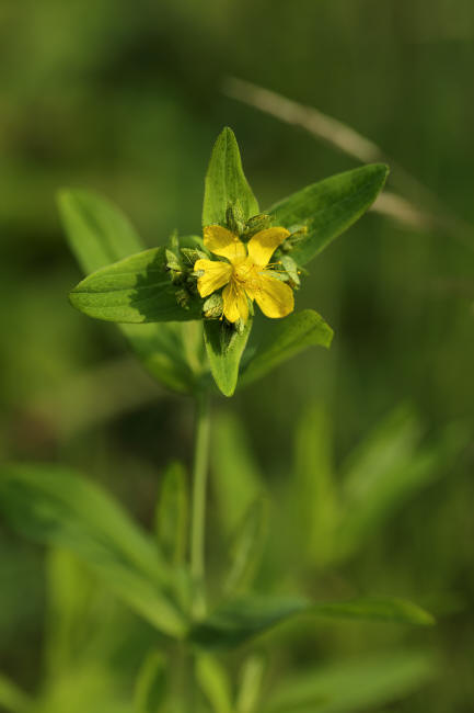f0017530_21234532.jpg
