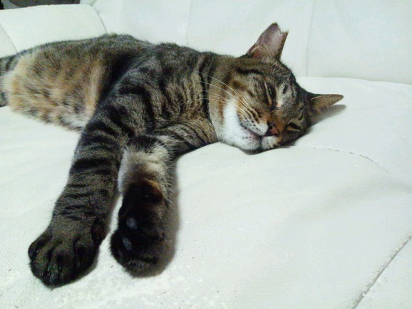 f0247039_16181460.jpg