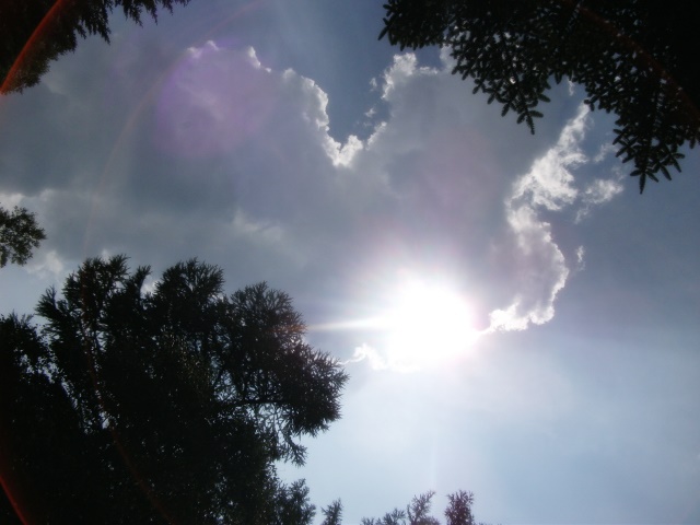 d0194741_229314.jpg