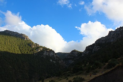 d0195041_5372490.jpg