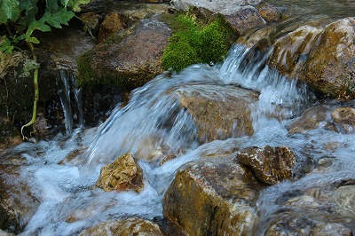 d0195041_5414291.jpg