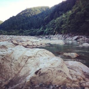 d0025555_13565281.jpg