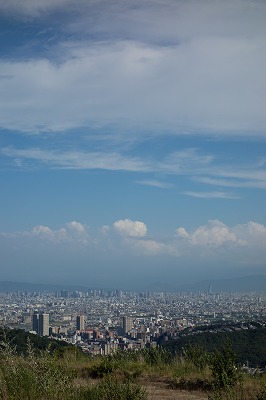 a0138066_23193182.jpg