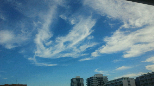 f0180166_1739418.jpg