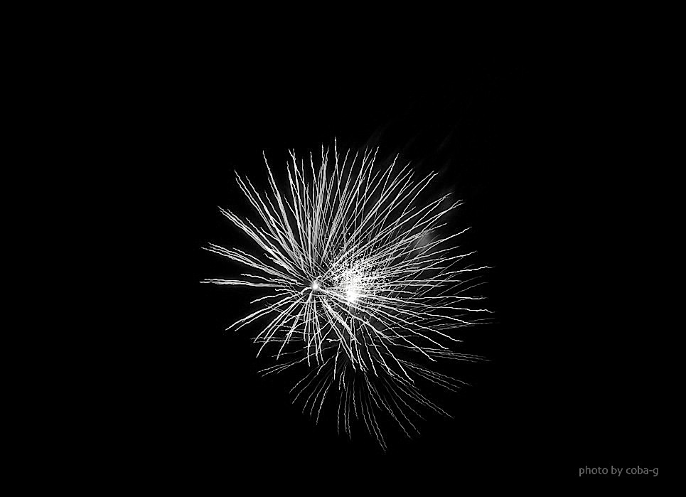 d0175768_17405246.jpg