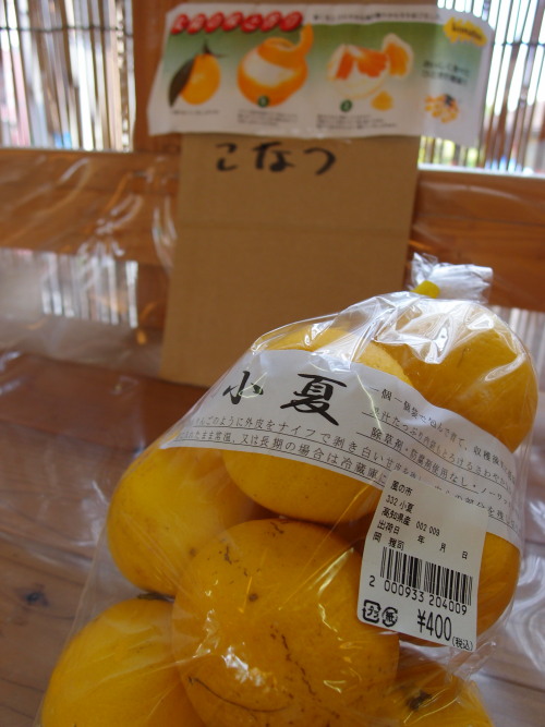 c0122670_22523686.jpg