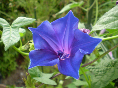 a0135990_21555710.jpg