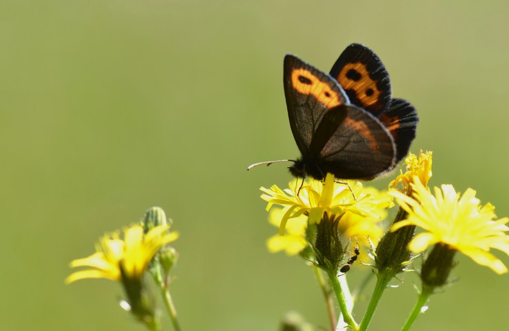 a0277496_823963.jpg