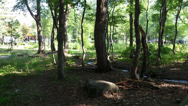 b0204498_2320547.jpg